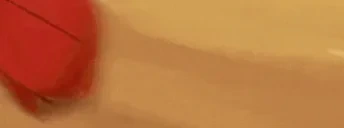 D20 emote for Discord