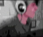 dbrbirate emote for Discord