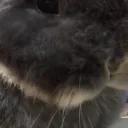 dda emote for Discord