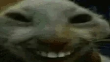 ddxdd emote for Discord