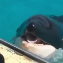 DD emote for Discord