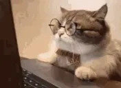 dgomezzzzz emote for Discord