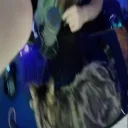 DDgamingSetUp emote for Discord