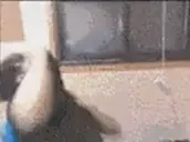 DFOCrashOut emote for Discord