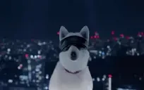 DDSensei emote for Discord