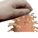 Dhatpet emote for Discord