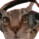 DJCAT emote for Discord
