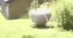 DJKhaledFallingOffASwin emote for Discord