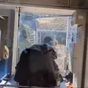 DJ_TRAIN emote for Discord