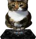 DJCAT emote for Discord