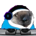 DJing animated emote for Discord, Twitch and Slack