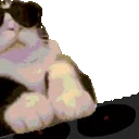 DJCat emote for Discord