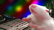 DjSteve emote for Discord