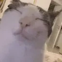 dluh emote for Discord