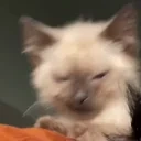 Drochnulo emote for Discord