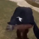 DRIPPY emote for Discord