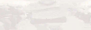 druskiDance2 emote for Discord