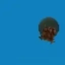 drops emote for Discord