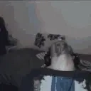 DrunkMaor emote for Discord