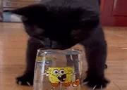 DrinkVodka emote for Discord