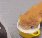 drinkinmymilj emote for Discord