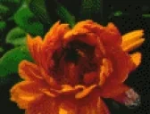 DRUGS emote for Discord