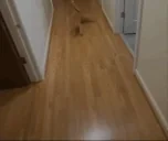 Drifting emote for Discord