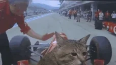 Driving emote for Discord