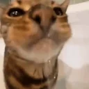 Drink emote for Discord