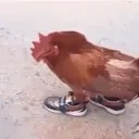 DrippingFatCock emote for Discord