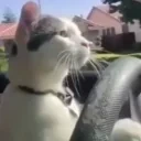 Drive emote for Discord