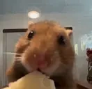 Eating emote for Discord