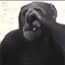 ebismoke emote for Discord