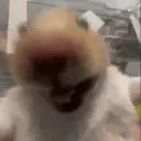 EbnutiHomek emote for Discord