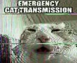 ECT emote for Discord