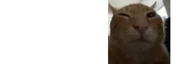 edgebuhg emote for Discord