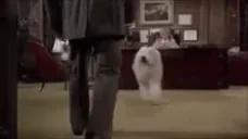 Eccoci emote for Discord