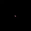 Echidna emote for Discord