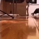 echoinshade emote for Discord