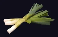 EchoLeeks emote for Discord