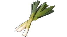 EchoLeeks emote for Discord