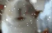 eda emote for Discord