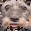 EdgingStreak emote for Discord