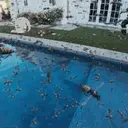 eddiediazRun emote for Discord