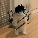 edgyCat emote for Discord