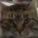 eduStare emote for Discord