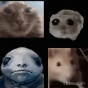 edem emote for Discord