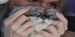 ee emote for Discord