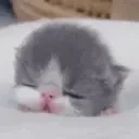 eeper emote for Discord