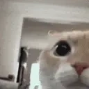 eerm emote for Discord